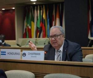 Cabe destacar que el embajador Iván Romero Martínez es un funcionario de Carrera del Servicio Exterior hondureño con una amplia experiencia diplomática.