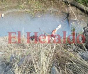 La víctima mortal, que aún no ha sido identificada, fue encontrada flotando en una quebrada de la colonia San Miguel Arcángel de la capital de Honduras.