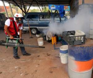 El personal de Salud se ha involucrado en los operativos de rociado y fumigación de las viviendas.