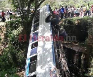 El bus transitaba por la carretera cuando se volcó y cayó en una hondonada.