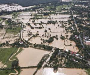 Giammattei dijo que es imposible llegar a la zona por derrumbes de carreteras, causados por las intensas lluvias. Foto: AFP