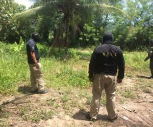 Según las autoridades policiales al menos cinco cuerpos habrían sido sepultados en estos predios de la comunidad de Río Blanquito, en Choloma, Cortés.