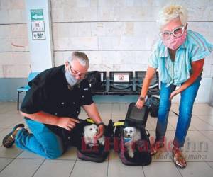 Patrick y Michelle Corley viajaron con sus mascotas, pero podría ser la última vez hasta dentro de un año. Foto: Jhony Magallanes/Emilio Flores/El Heraldo
