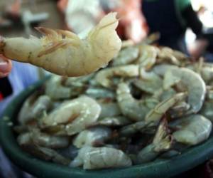 El camarón hondureño tiene gran demanda en el mercado taiwanés y desde 2019 se mantiene en el primer lugar.