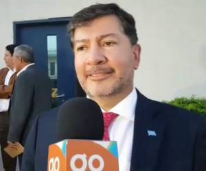 El representante de la Organización de las Naciones Unidas (ONU) en Honduras, Igor Garafulic, habló sobre las reformas electorales en el país.