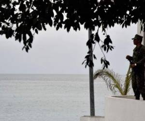 El gobierno de Jalisco reportó este domingo que 'se han intensificado las labores de apoyo en los municipios costeros, principalmente en Cihuatlán, en donde alrededor de 500 casas se han visto afectadas por el desbordamiento del arroyo El Pedregal, en San Patricio, Melaque y Villa Obregón'.