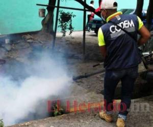 Las autoridades de la comuna capitalina refuerzan labores de las microempresas de barrido y el Codem para los operativos. Foto: El Heraldo