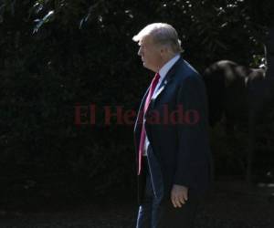 El presidente de EE. UU., Donald Trump, agita la Casa Blanca en Washington. Foto: Agencia AFP.