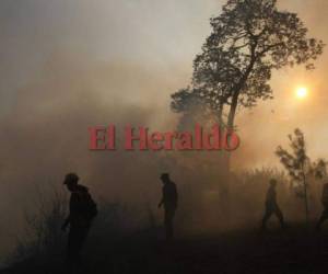 El incendio ha quemado al menos 40 hectáreas de bosque. Foto: Johny Magallanes/ EL HERALDO