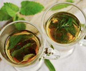 Aunque muchas personas dudan sobre la eficiencia que estos remedios naturales, las plantas medicinales sí pueden ayudarte a curar dolencias que resultan incómodas. Foto: Pixabay.