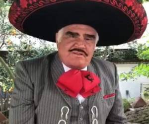 Vicente Fernández mantiene interración con su familia cuando llegan a visitarlo. Foto: Instagram