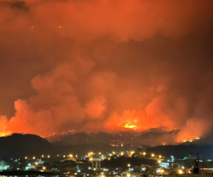 El arrasador fuego consumió varias hectáreas de bosque en el Parque Nacional La Tigra.