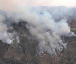 Abril será el mes más crítico en cuanto a incendios forestales, de acuerdo con análisis de las autoridades.