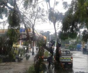 Debido a las lluvias la municipalidad de Guatemala decretó una alerta amarilla institucional (prevención), al igual que las de Villa Nueva y Villa Canales, colindantes al sur con la ciudad de este país. Foto cortesía redes