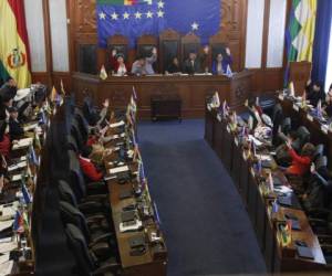 Los senadores aprueban un proyecto de ley para celebrar nuevas elecciones en La Paz, Bolivia, el sÃ¡bado 23 de noviembre de 2019. (Foto AP/Juan Karita)