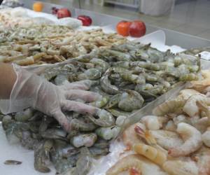México suspende embargo al camarón hondureño