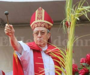 El Cardenal Óscar Andrés Rodríguez bendice los ramos de olivo en la celebración del Domingo de Ramos en la Semana Santa. Foto: David Romero / El Heraldo.