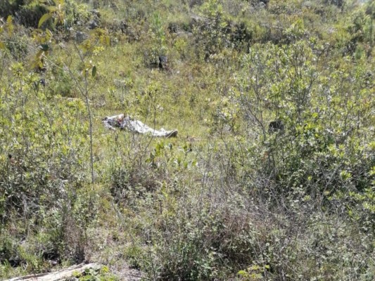 El cadáver estaba amarrado de sus manos y su cara desfigurada por las aves de rapiña.