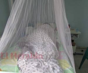 Una mujer con dengue cubierta por un mosquitero en una de las salas de atención del Hospital Escuela. Foto: EL HERALDO.