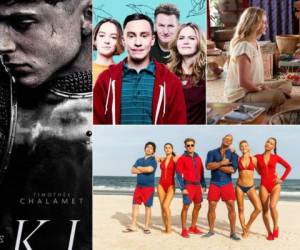 Netflix compartió cuáles serán los nuevos estrenos para noviembre de 2019. Desde nuevas temporadas, el inicio de series y más películas, estos son los mejores estrenos para este mes.