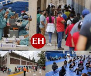 Las interminables filas de personas que buscan ser vacunadas continúan en todos los centros destinados para inocular a los capitalinos. Fotos: David Romero | EL HERALDO.