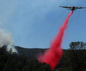 Los expertos han dicho que estos incendios son generados por el calor, el clima seco, y la muerte de unos 129 millones de árboles por las recientes sequías y por el ataque de insectos. Foto: Agencia AFP