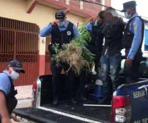 Al sujeto se le decomisó drogas en una mochila, además de laque tenía sembrada en su casa.