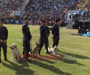 En la imagen aparacen los tres perros del Escuadrón Antibombas. Foto: Eduard Rodríguez/ EL HERALDO.