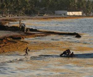 Sargazo se acumula en la costa en donde pescadores empujan su barcaza hacia el mar en Playa del Carmen, México. (AP Foto/Víctor Ruiz )