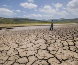 La crisis climática está afectando a varios países del mundo. Foto AFP