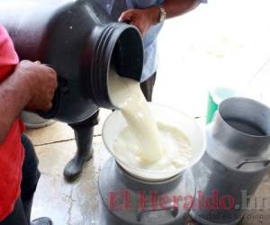 Piden que se verifique incremento a costos de producción. Foto: El Heraldo