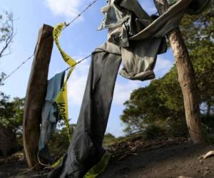 La fosa fue cavada en un predio de la localidad de El Arbolillo, del municipio de Alvarado, con costas en el Golfo de México. Foto: AFP