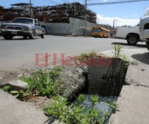 El tragante de aguas lluvias persiste colmado de aguas negras y con la tapadera a un lado. Foto: David Romero/EL HERALDO