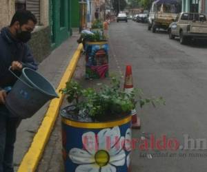 El personal de la municipalidad se encarga de regar las flores. Foto: El Heraldo