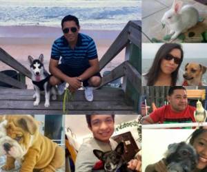 Estas son las fotograrías de las mascotas que nuestros lectores nos han enviado.