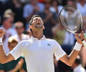 Novak Djokovic venció en la final de Wimbledon 2018 al sudafricano Anderson. Foto: Agencia AFP.