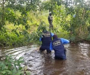 En la operación participaron miembros de la Policía Nacional a través de la Dirección Nacional Policial Antidrogas (DNPA), en coordinación con la Fuerzas Armadas, la Fuerza Aérea de Honduras y la Fiscalía Contra el Crimen Organizado.