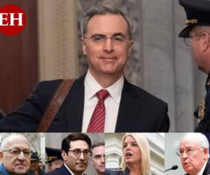 Los cinco expertos en Derecho tendrán que desvirtuar los argumentos de los demócratas contra el presidente republicano. Foto: AFP/AP.