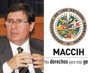 Luiz Antonio Guimarães Marrey es el nuevo vocero de la Maccih.