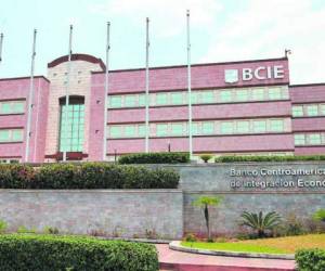 El presidente del BCIE estimó que la solicitud de incorporación será aprobada por los directivos del organismo regional antes del 21 de febrero próximo.