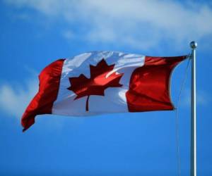 El gobierno de Canadá propuso ampliar la discusión sobre el tema para incluir el de 'océanos y energías limpias'. Foto: Agencia AFP