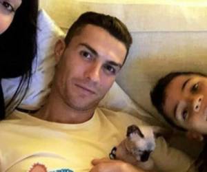 Según informó la emisora Cadena Cope, CR7 decidió enviar a su mascota hacia España en busca de que este sea observado por los mejores veterinarios de ese país.