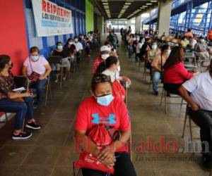 A pesar de la desinformación, la gente se ha presentado masivamente a los puestos de vacunación contra el covid-19. Foto: David Romero/El Heraldo