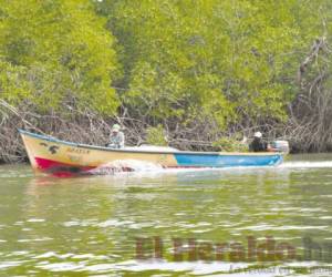 Los pescadores de las zonas de los manglares han sufrido por la merma en su fuente de ingresos.