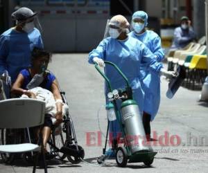 Expertos recomiendan redoblar medidas de bioseguridad. Foto: El Heraldo