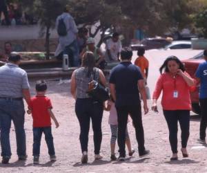 Los sectores que serán beneficiados con el proyecto se enlistan las colonias El Carrizal, San Miguel, Kennedy, Hato de Enmedio y Torocagua. Foto: Alex Pérez/El Heraldo.