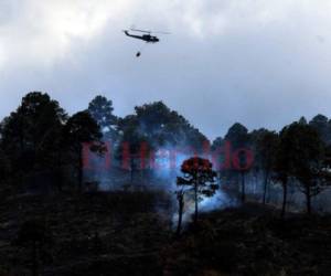 Los elementos de las Fuerzas Armadas tuvieron que emplear un helicóptero para realizar descargas de agua y sofocar el siniestro forestal. El agua fue trasladada desde la represa Los Laureles. Foto: Alex Pérez/EL HERALDO.