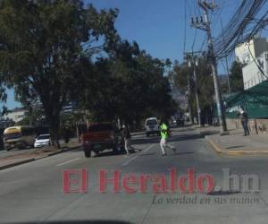 Peatones en el bulevar mientras hay carros en movimiento. Foto: Alex Pérez/El Heraldo