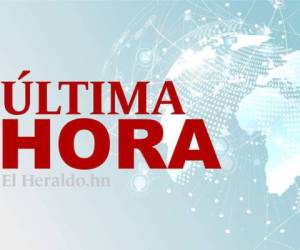 El piloto murió, según precisó la fiscal local Theresa Maule Rossow.