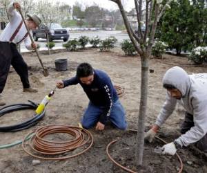 Los empleadores han alegado que necesitan desesperadamente más mano de obra, contradiciendo a los republicanos que dicen que las visas quitan los trabajos a estadounidenses. (Foto: AP)